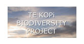 The Te Kopi Biodiversity Project